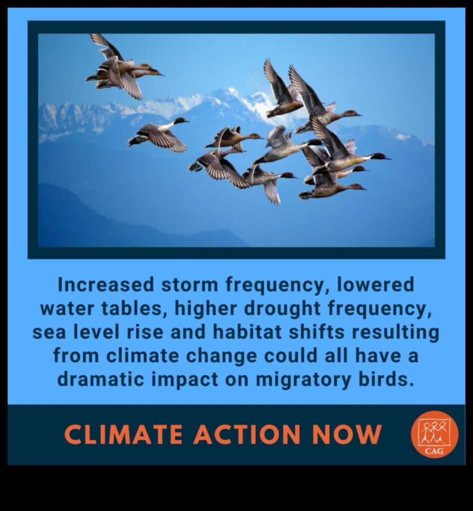 Birds and Climate Change Impact on Migration and Habitats 1