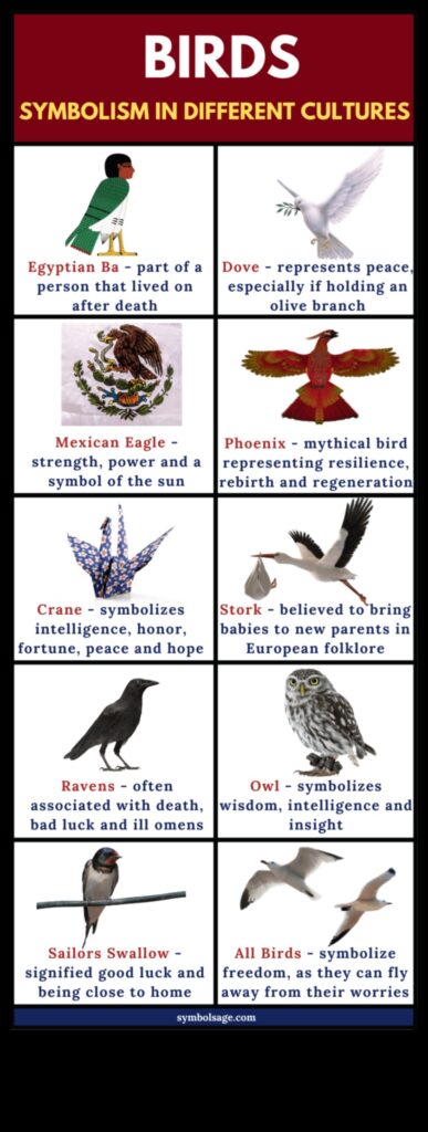 Birds and Indigenous Cultures Symbolism and Spiritual Significance 1