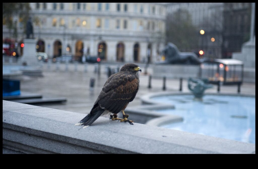 Birds in Urban Spaces Adapting to City Life 1