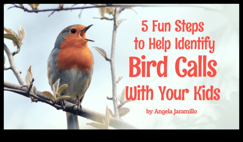 Birdsong Identification Tips for Recognizing Different Calls 1
