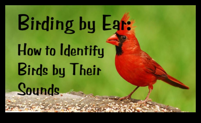 Birdsong Identification: Tips for Recognizing Different Calls