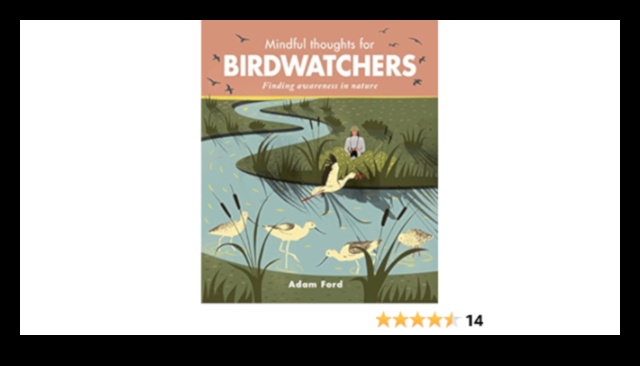 Birdwatcher's Mindfulness: Finding Tranquility in Nature Observation