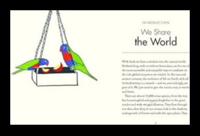 Birdwatcher's Mindfulness: Finding Tranquility in Nature Observation