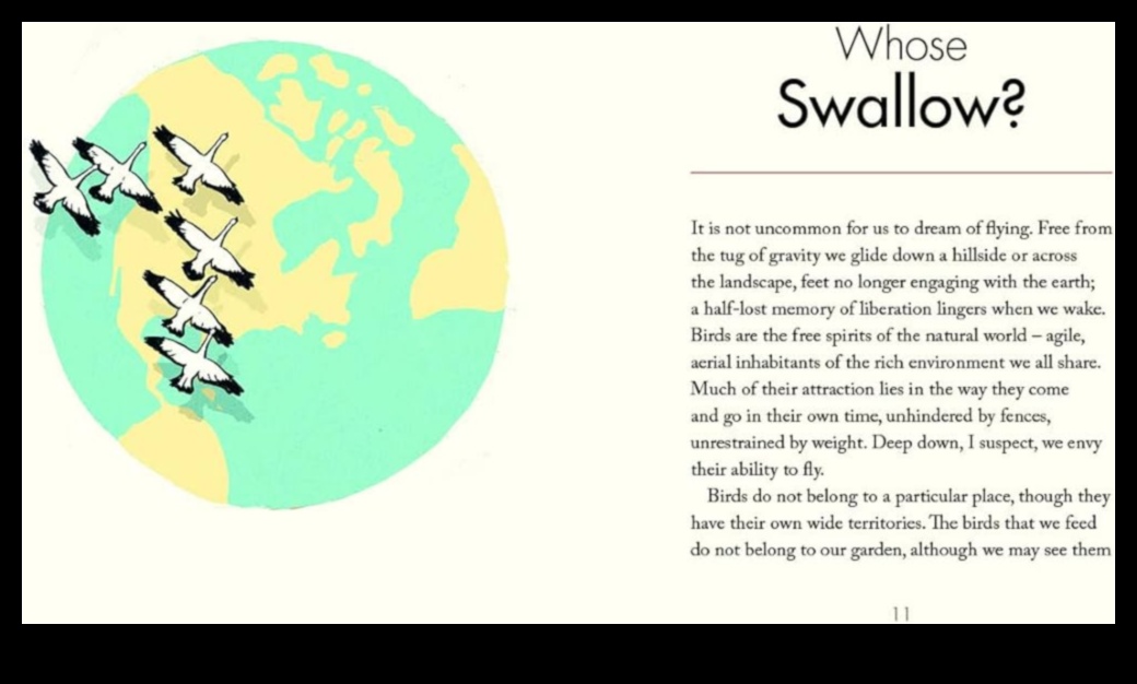 Birdwatcher's Mindfulness: Finding Tranquility in Nature Observation