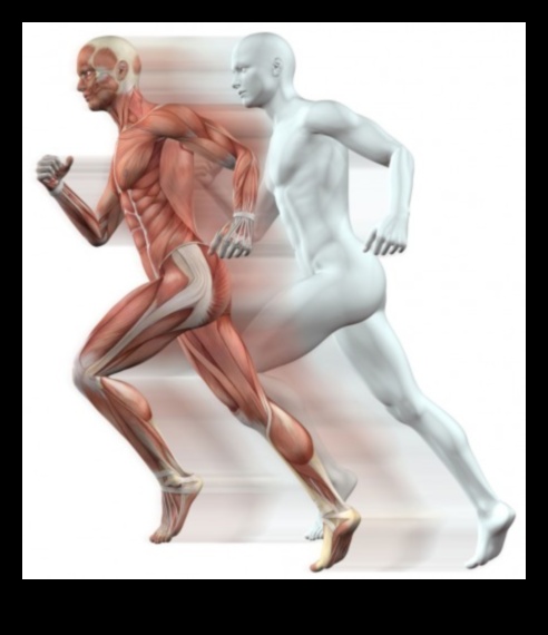 Bone Boost Exercise's Role in Maintaining Skeletal Health and Density 1