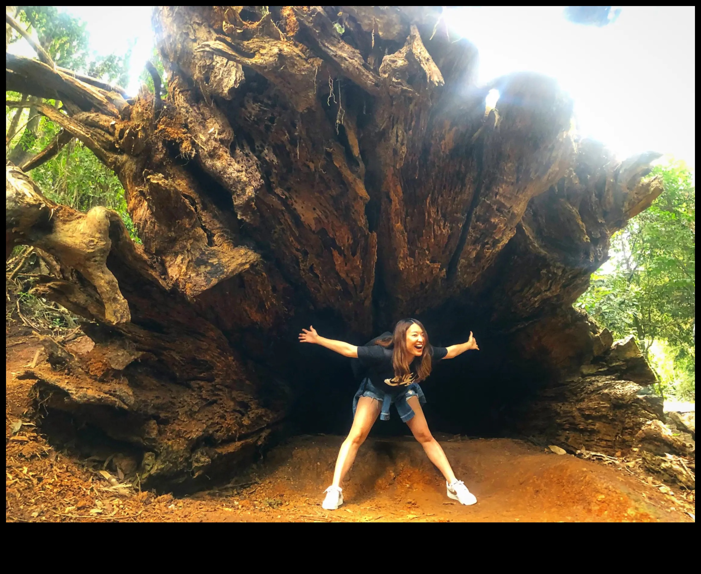 Breathtaking Views: A Sightseer's Treasure Trove