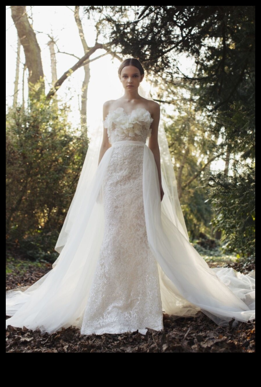 Bridal Bliss: Modern Wedding Dress Trends