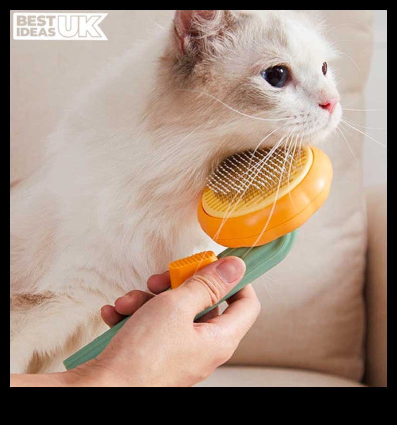 Brushing Buddies: Introducing Dogs and Cats to Grooming