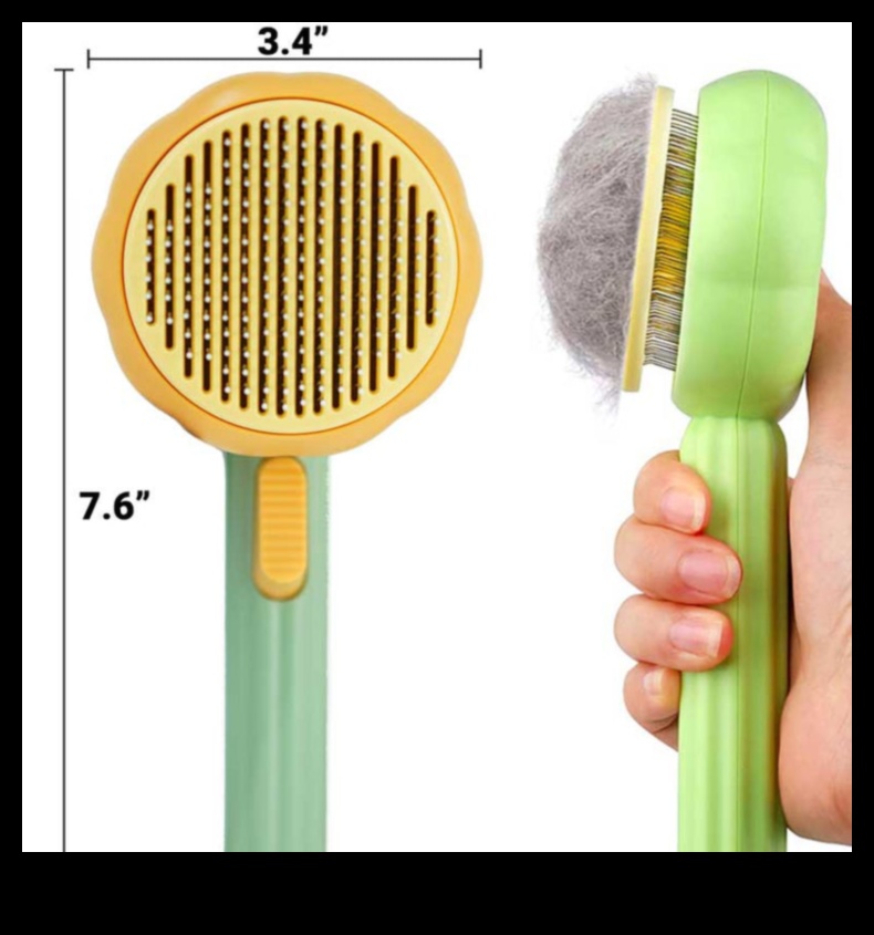 Brushing Buddies: Introducing Dogs and Cats to Grooming