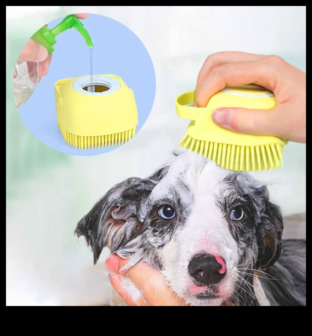 Brushing Buddies: Introducing Dogs and Cats to Grooming