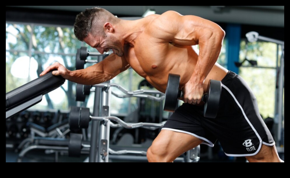 Build a Balanced Body with These Targeted Muscle-Building Exercises 5 Balanced Workouts: Targeting Different Muscle Groups for Overall Fitness