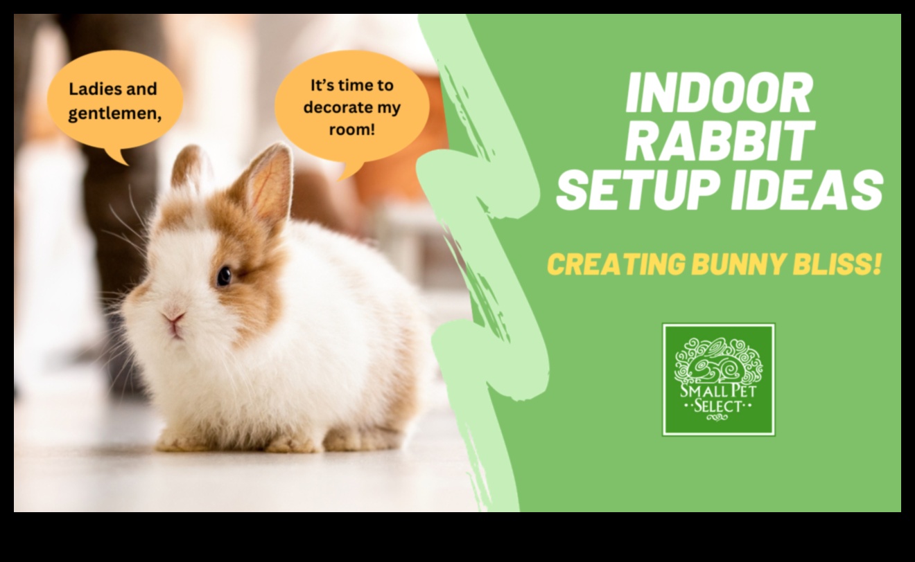 Bunny Bliss: Creating Safe Outdoor Spaces for Rabbits