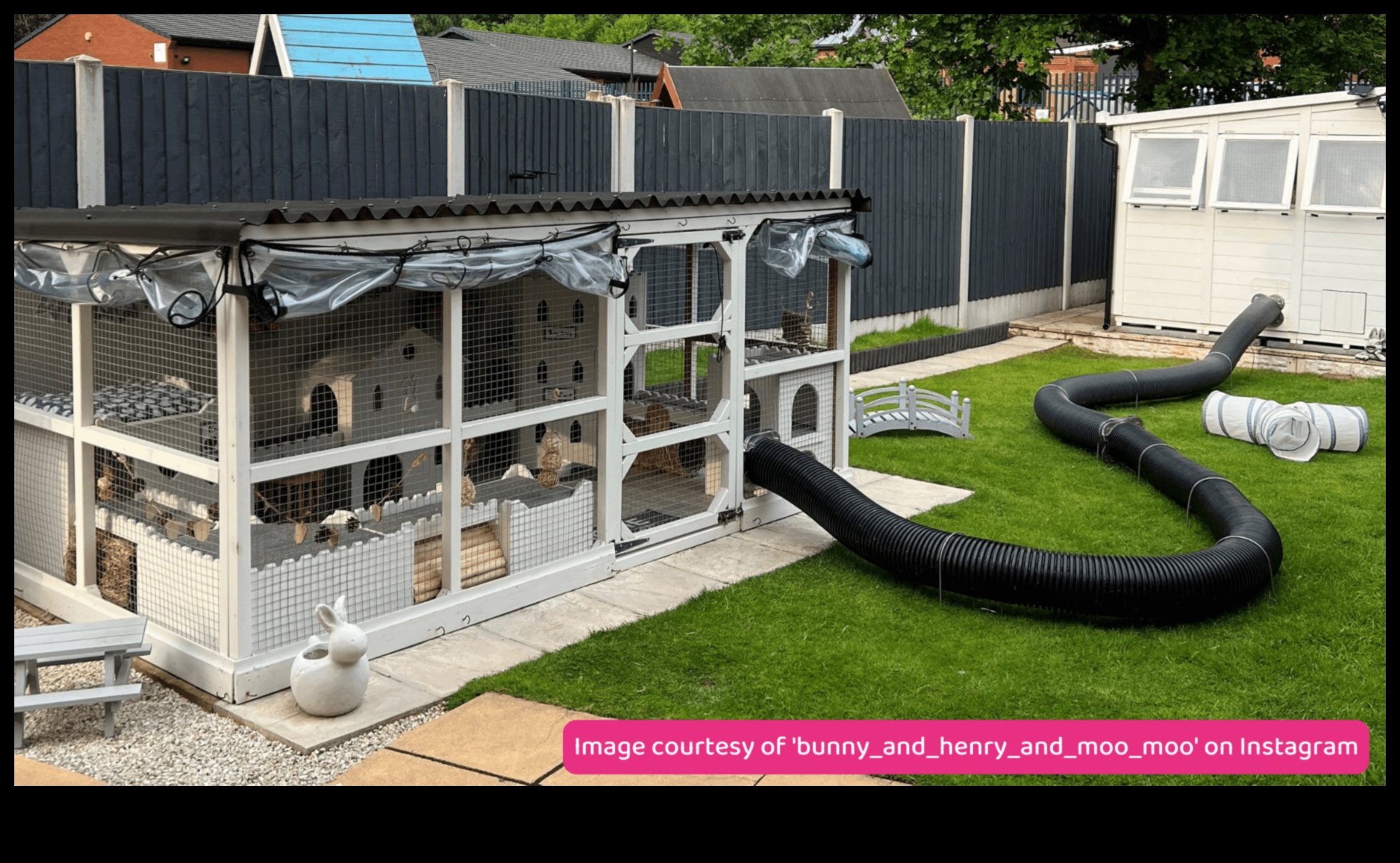 Bunny Bliss: Creating Safe Outdoor Spaces for Rabbits