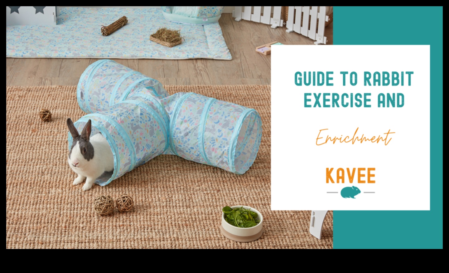 Bunny Bliss: Enriching Activities for Playful Rabbits