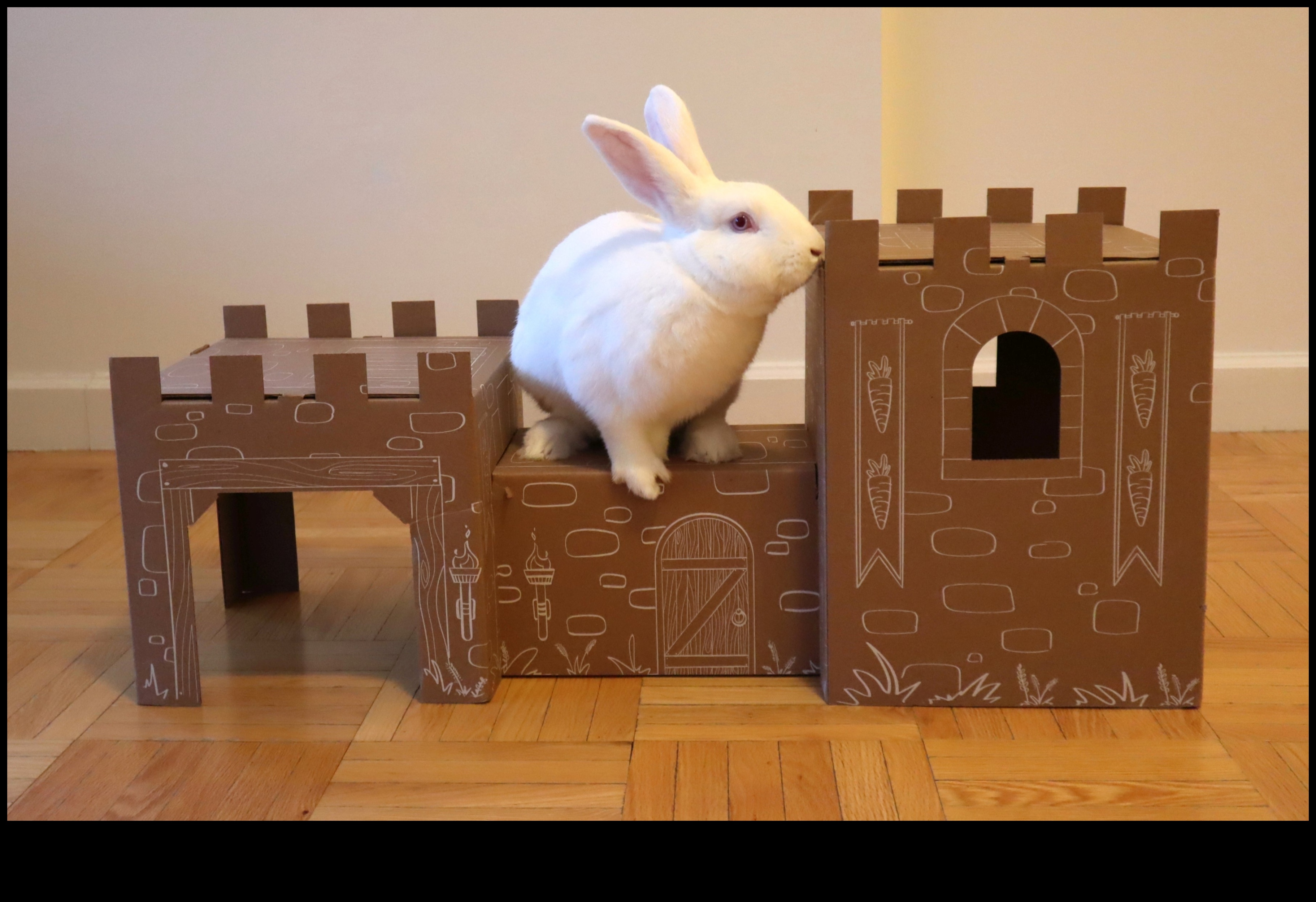 Bunny Bliss: Enriching Activities for Playful Rabbits