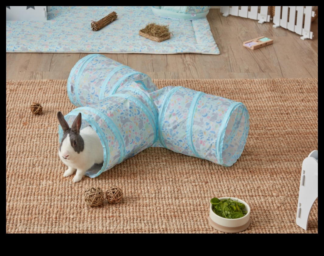 Bunny Bliss: Enriching Activities for Playful Rabbits