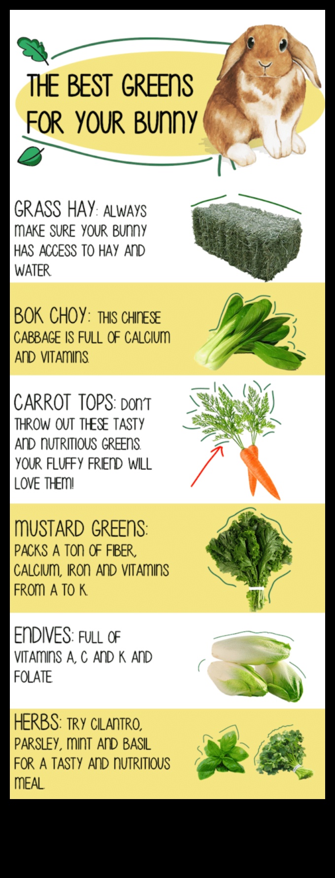 Bunny Buffet Continued: Exploring Culinary Delights for Rabbits