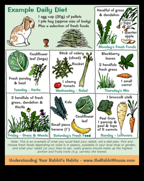 Bunny Buffet Continued: Exploring Culinary Delights for Rabbits