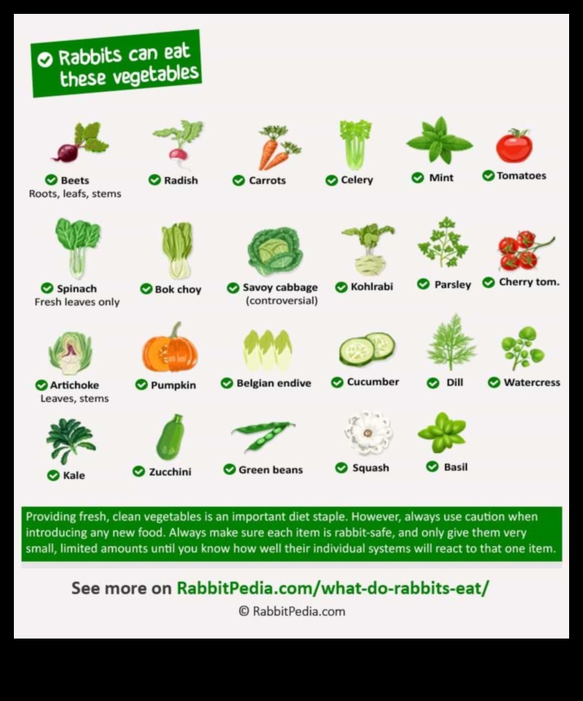 Bunny Buffet Continued: Exploring Culinary Delights for Rabbits