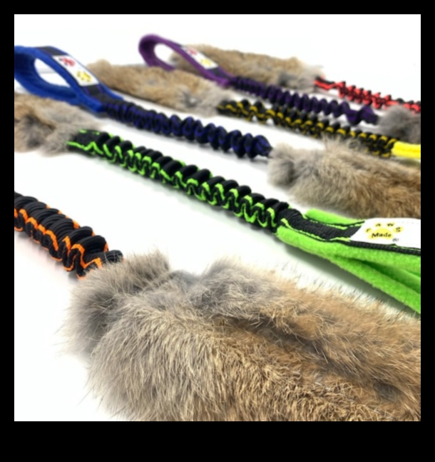 Bunny Bungee: Providing Jumping Fun for Rabbits