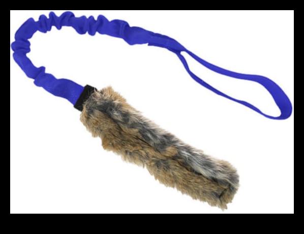 Bunny Bungee: Providing Jumping Fun for Rabbits