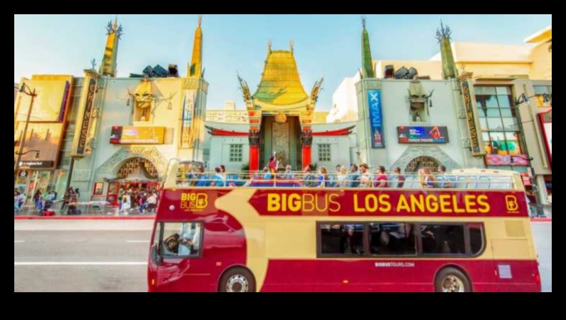 Bus Bliss: Crafting Your Perfect City Tour Itinerary