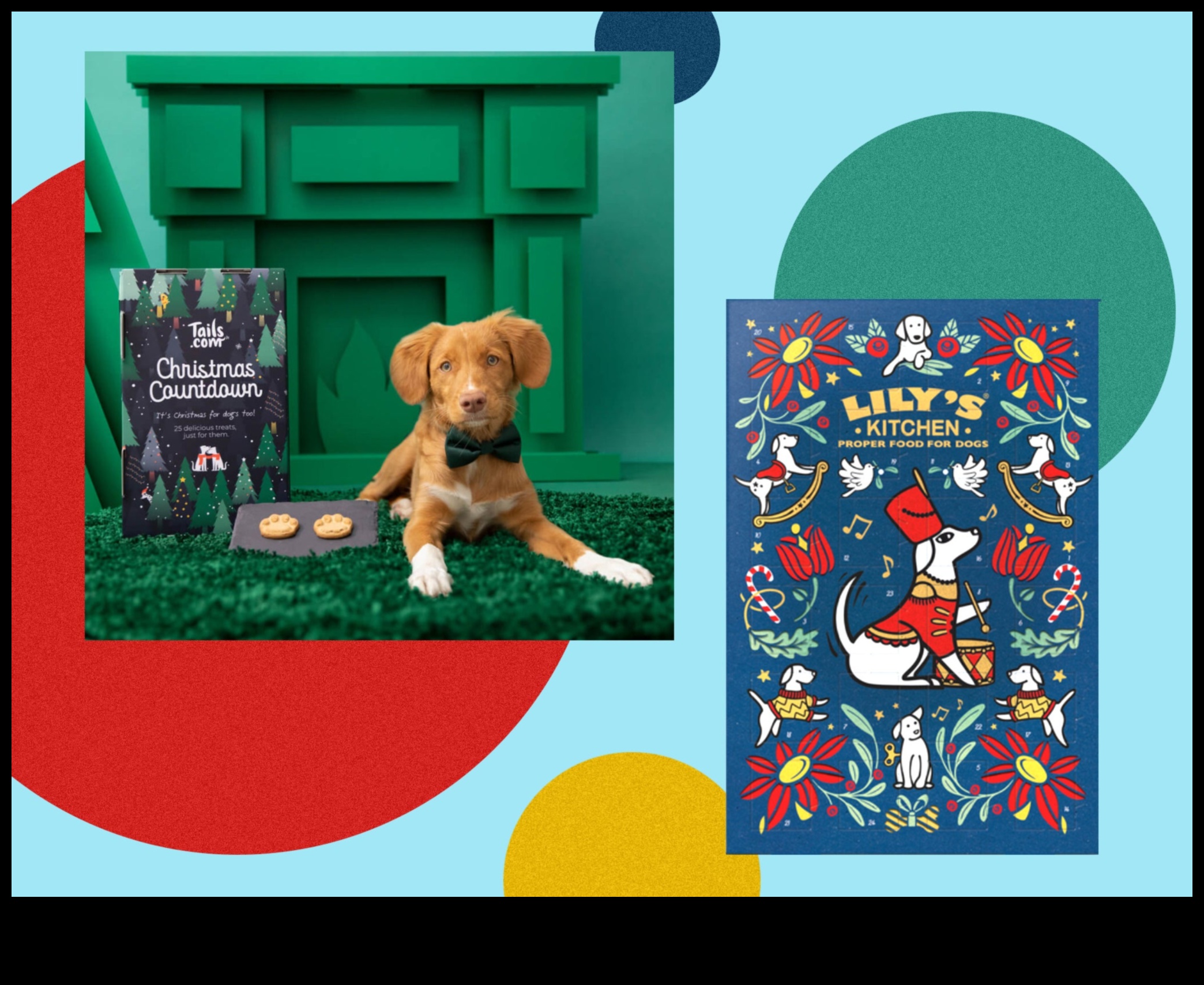 Canine Calendar Continued: Celebrating Dogs Every Month