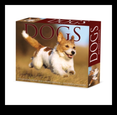 Canine Calendar: Planning Dog-Centric Events and Holidays