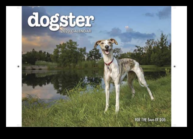 Canine Calendar: Planning Dog-Centric Events and Holidays