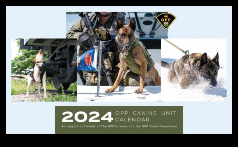 Canine Calendar: Planning Dog-Centric Events and Holidays