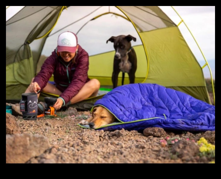 Canine Camping Continued: Building a Dog-Friendly Tent