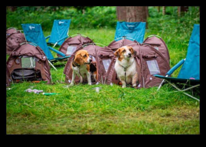 Canine Camping Continued: Expanding Outdoor Exploration