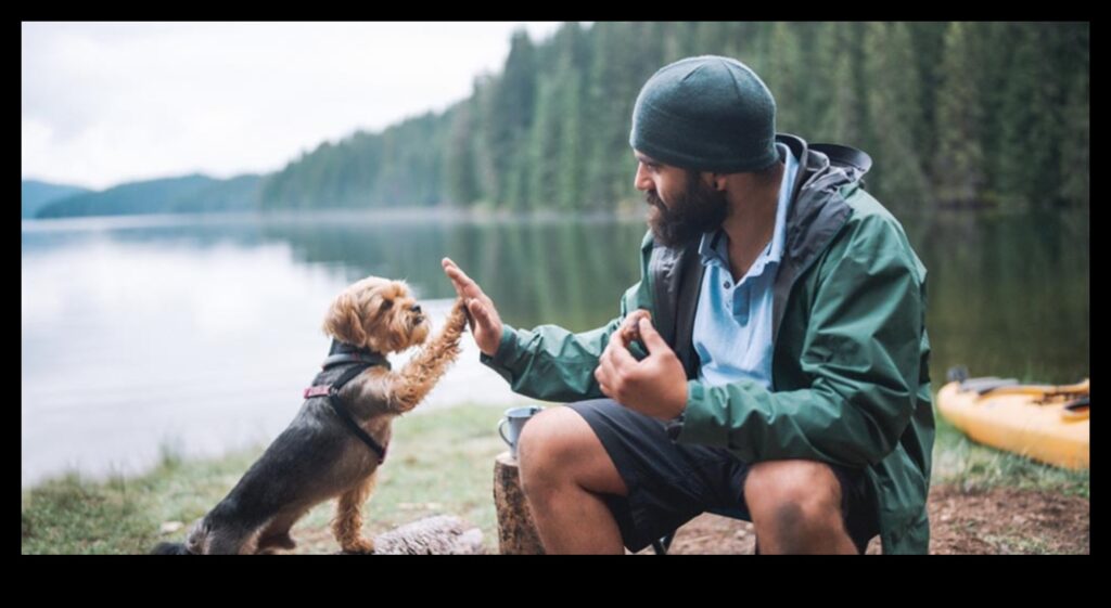 Canine Camping Outdoor Adventures for Dogs and Owners 1