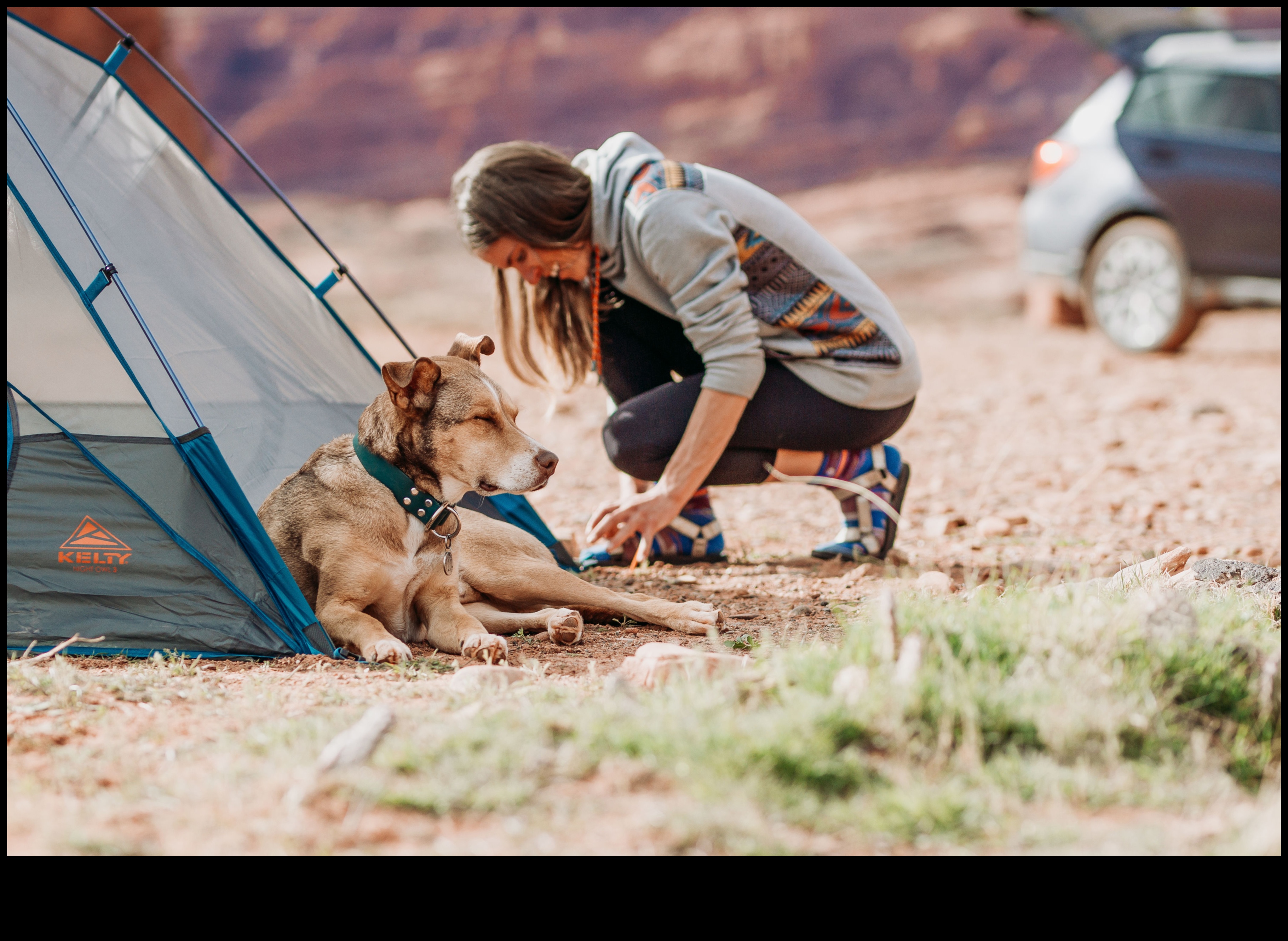 Canine Camping: Outdoor Adventures for Dogs and Owners