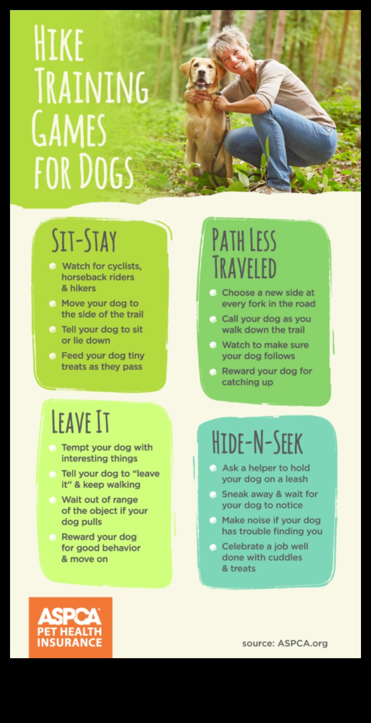 Canine Cardio: Fun and Fitness for a Happy, Healthy Dog