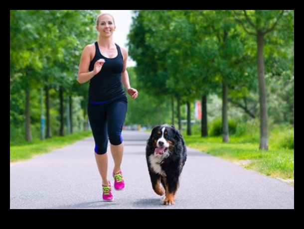 Canine Cardio: Keeping Your Dog Fit with Fun Exercise