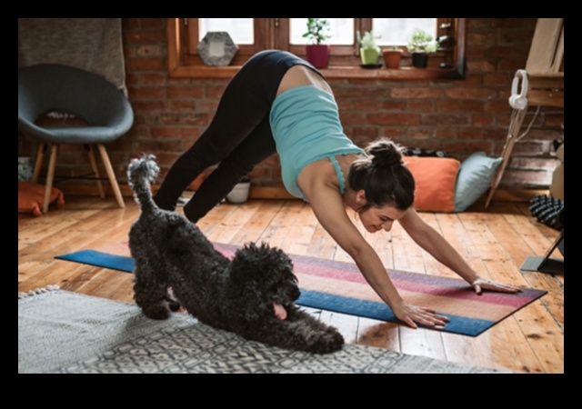 Canine Cardio: Keeping Your Dog Fit with Fun Exercise