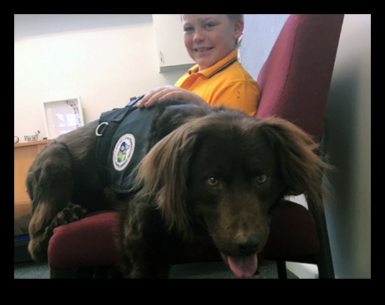 Canine Careers: Unleashing the Potential of Working Dogs