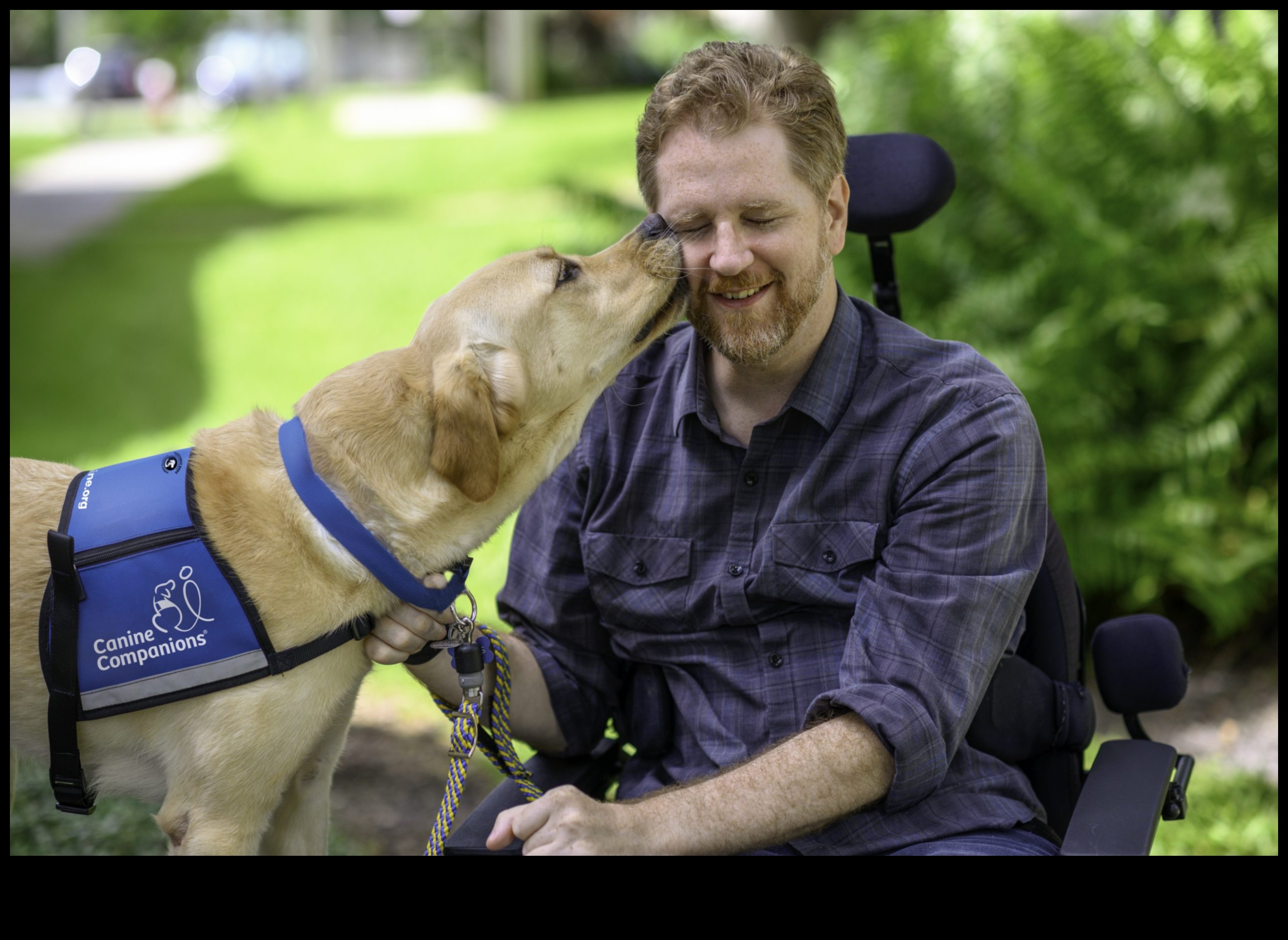 Canine Careers: Unleashing the Potential of Working Dogs