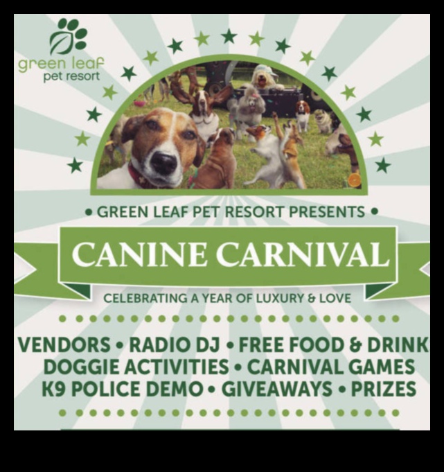 Canine Carnival: Hosting a Fun and Furry Event for Dogs