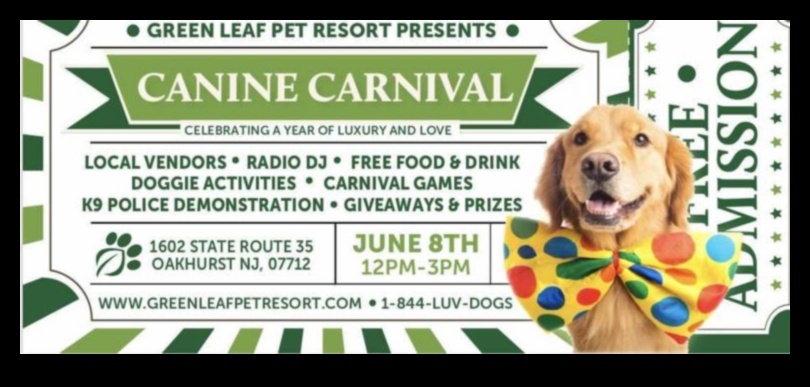 Canine Carnival: Hosting a Fun and Furry Event for Dogs