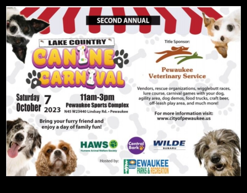 Canine Carnival: Hosting a Fun and Furry Event for Dogs