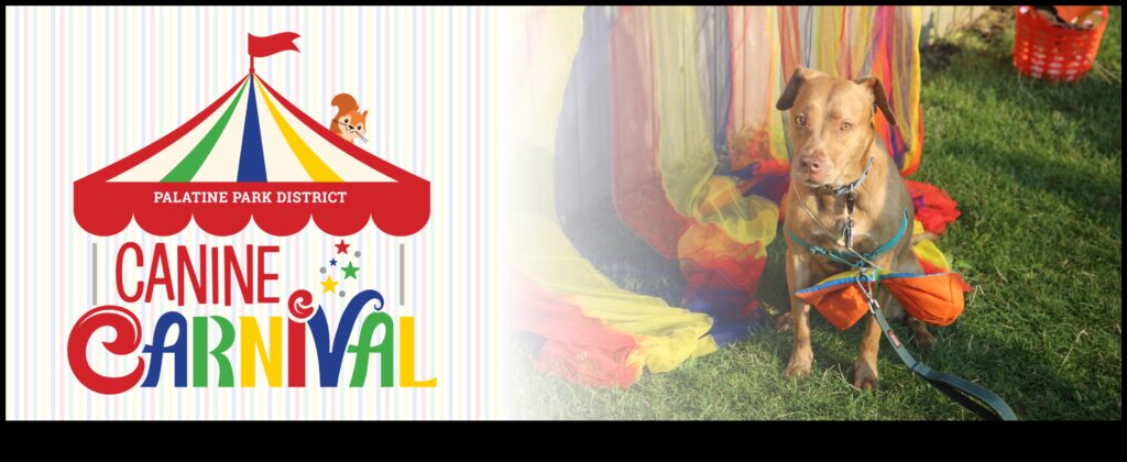 Canine Carnival Hosting the Ultimate Dog-Friendly Event 1