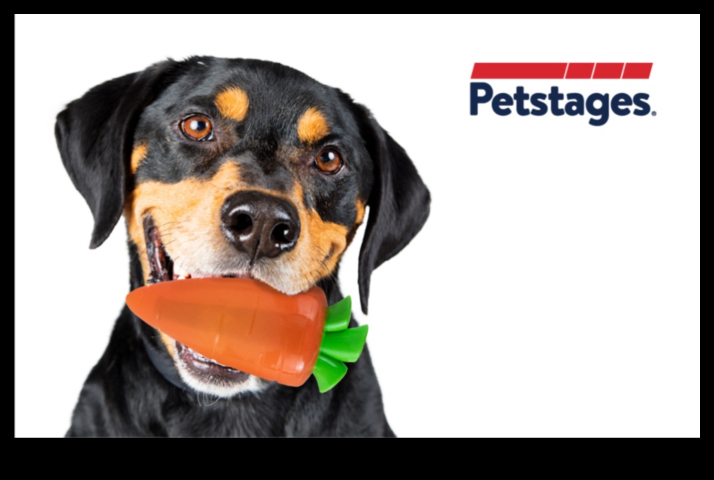 Canine Carrot Crunch: Healthy Snacking Games for Dogs