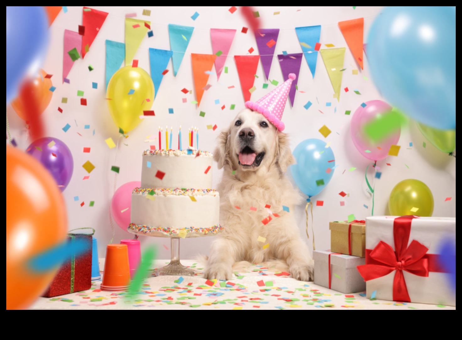 Canine Celebrations: Planning Memorable Doggy Birthday Parties