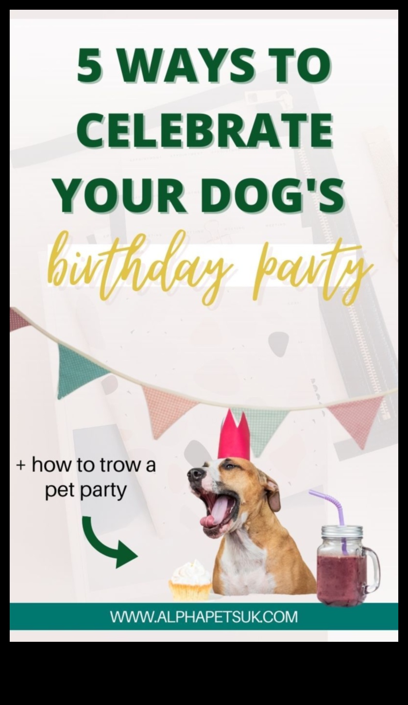 Canine Celebrations: Planning Memorable Doggy Birthday Parties