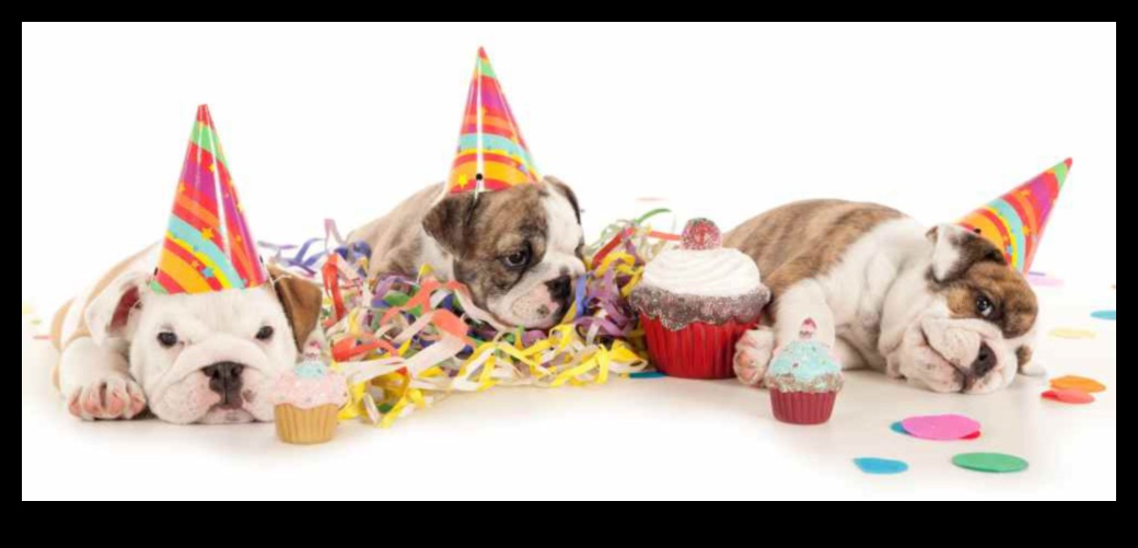 Canine Celebrations: Planning Memorable Doggy Birthday Parties