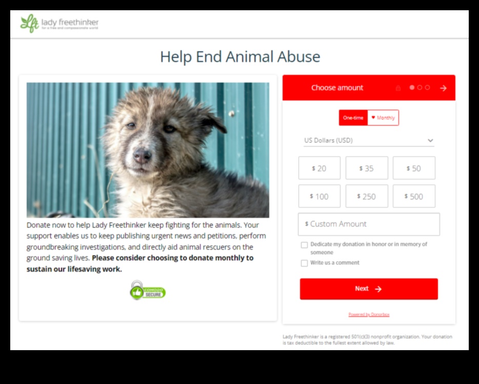 Canine Charities: Supporting Organizations for Dogs in Need