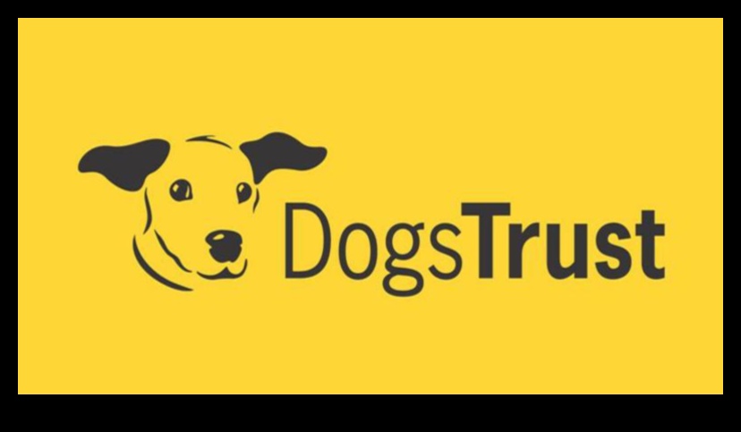 Canine Charities: Supporting Organizations that Help Dogs in Need