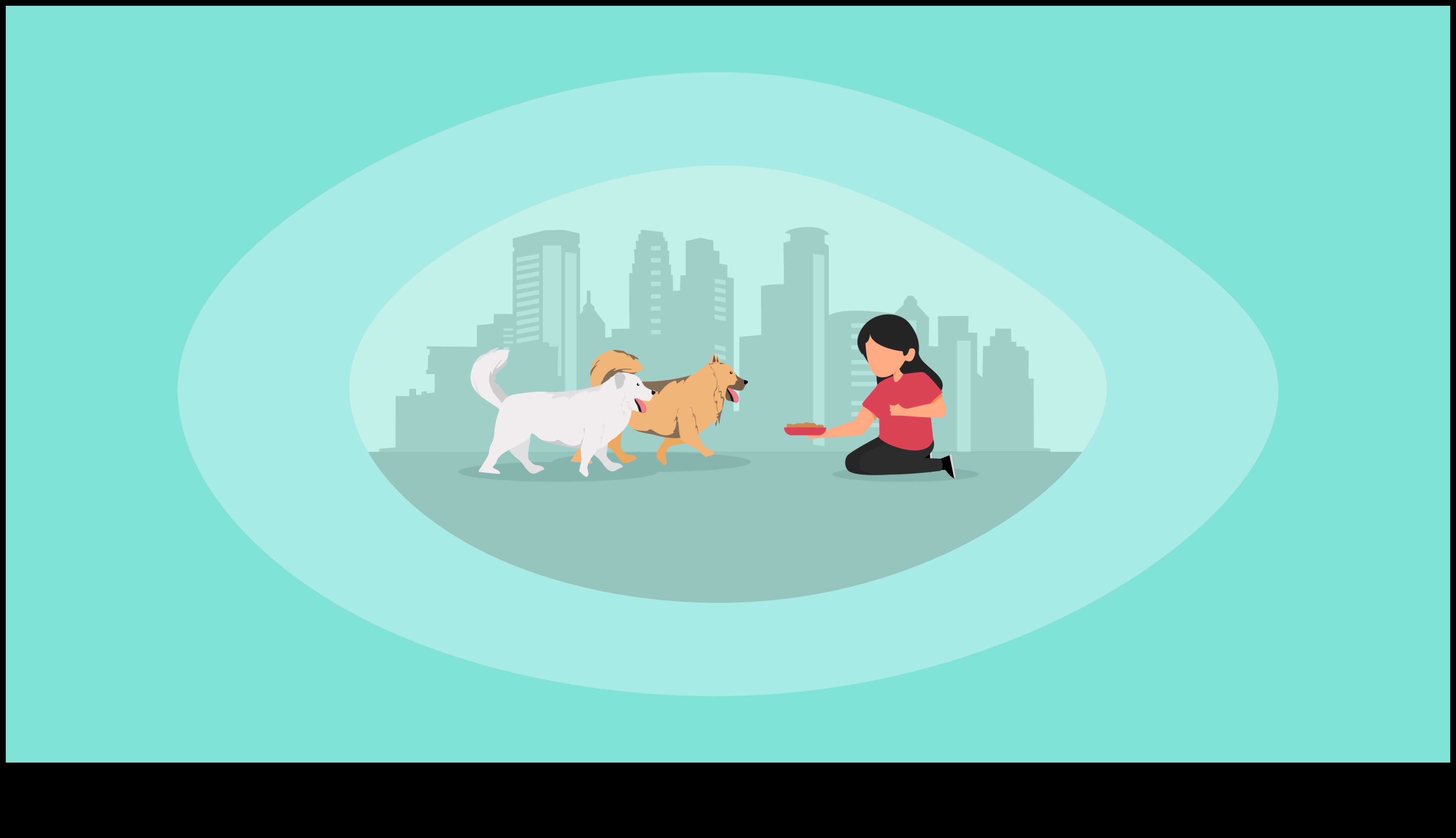 Canine Charities: Supporting Organizations that Help Dogs in Need